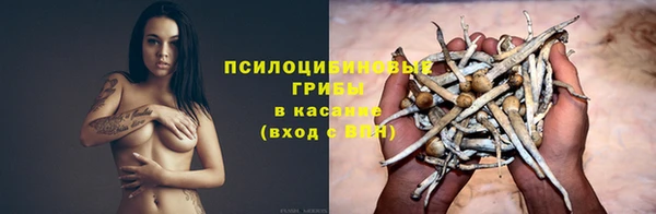 соль ск Алексеевка