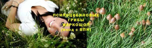 2c-b Алзамай