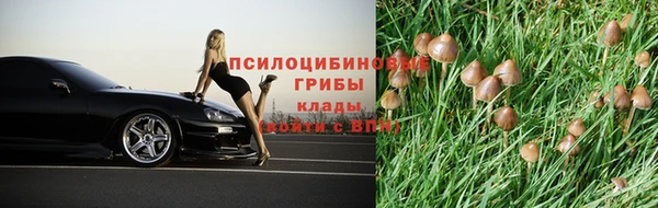 mdpv Алексин
